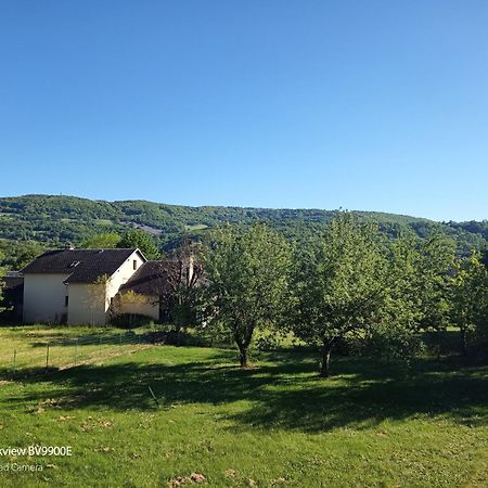 شقة La Clematite D'Olt Saint-Côme-dʼOlt المظهر الخارجي الصورة